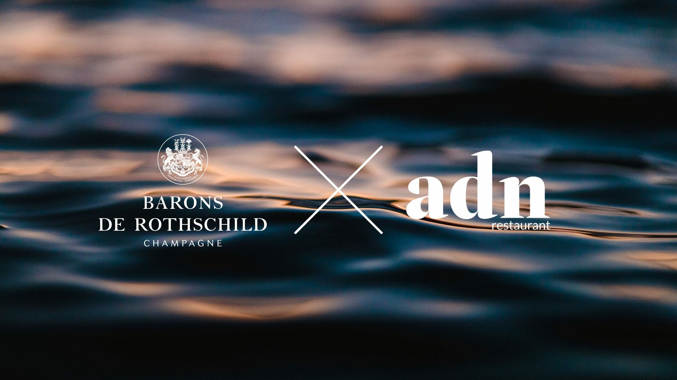 Soirée Baron de Rothschild
