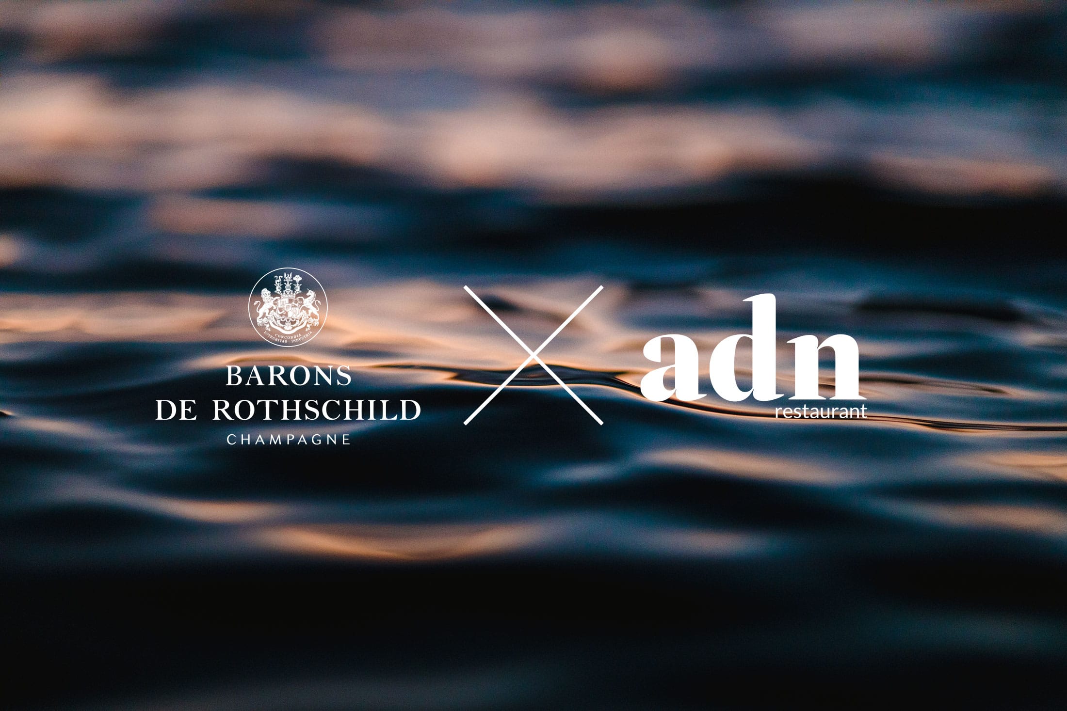 Soirée Baron de Rothschild